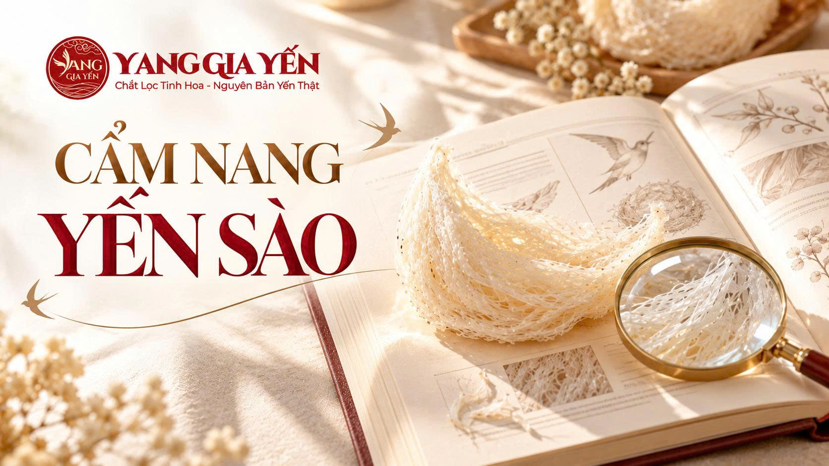 Cẩm nang yến sào Cẩm nang yến sào