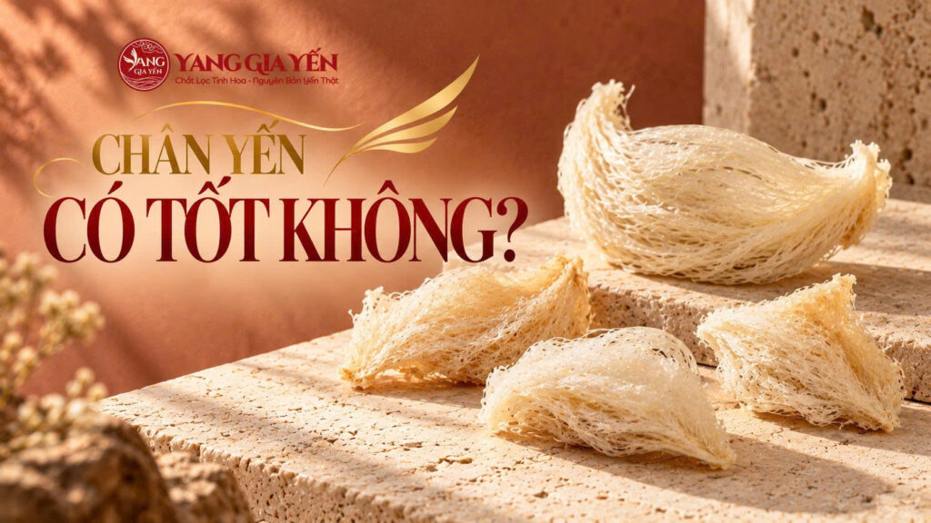Chân yến có tốt không