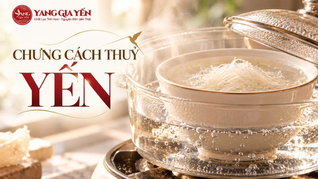 Chưng cách thuỷ yến