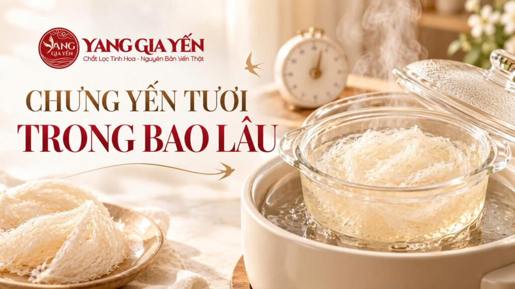 Chưng yến tươi trong bao lâu