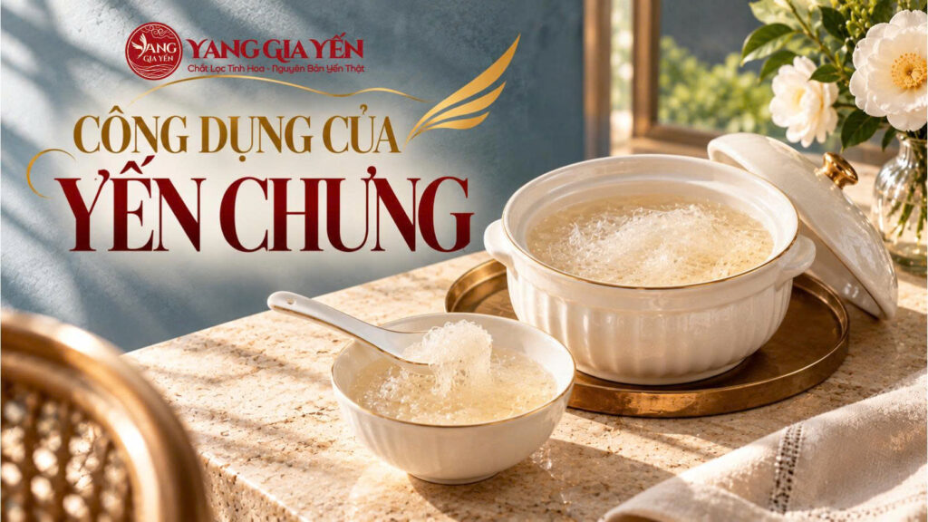 Công dụng của yến chưng