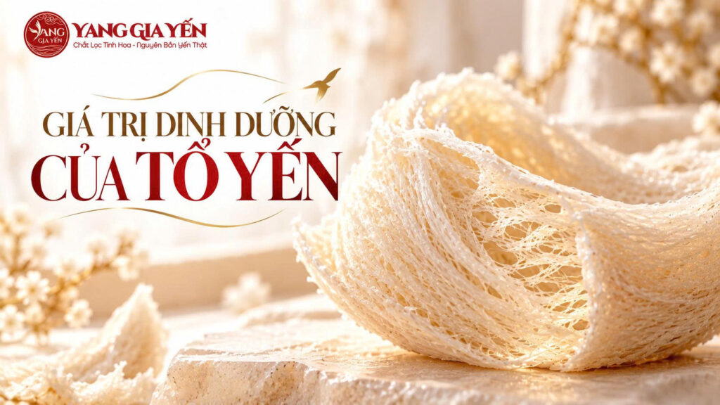 Giá trị dinh dưỡng của tổ yến