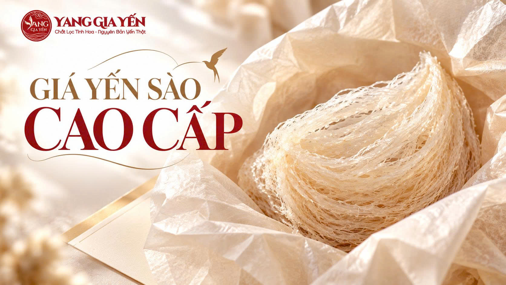 Giá yến sào cao cấp Giá yến sào cao cấp
