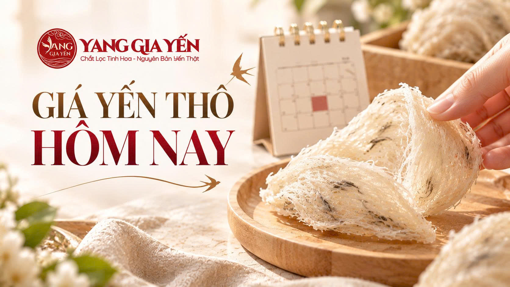 Giá yến thô hôm nay Giá yến thô hôm nay