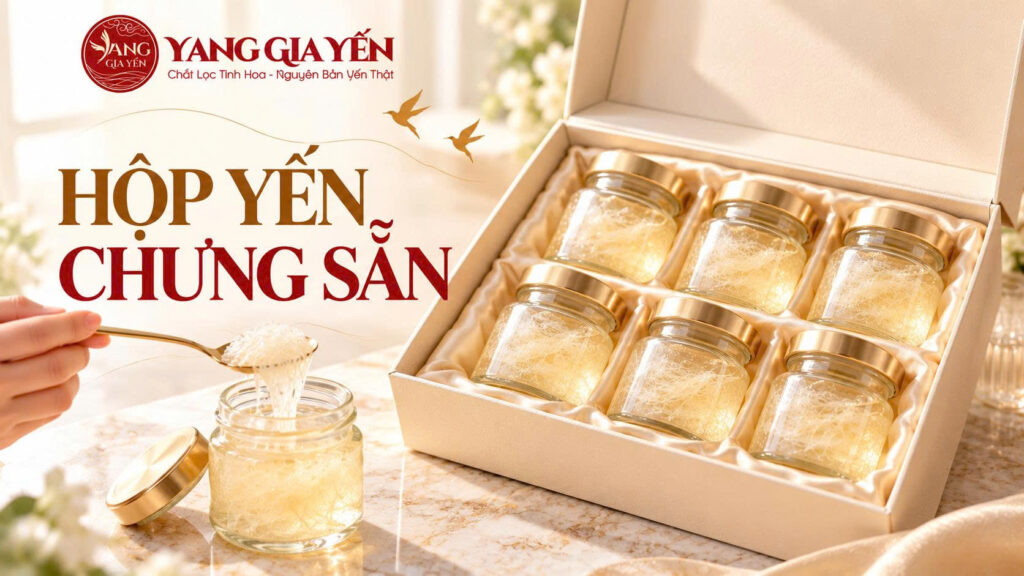 Hộp yến chưng sẵn