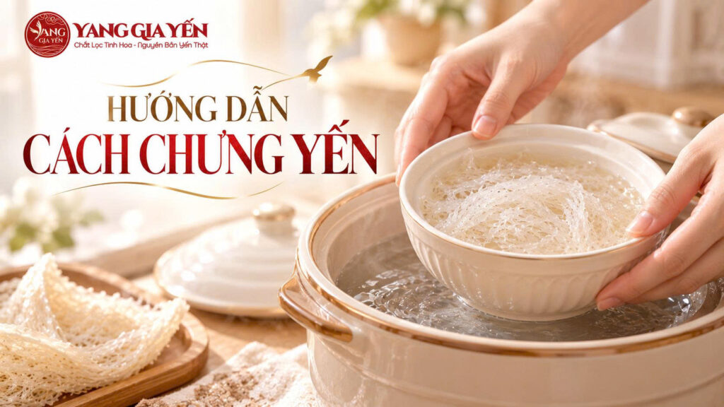 Hướng dẫn cách chưng yến