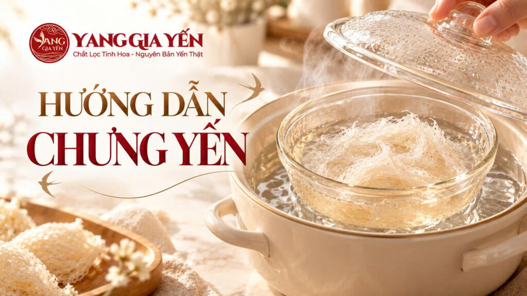 Hướng dẫn chưng yến