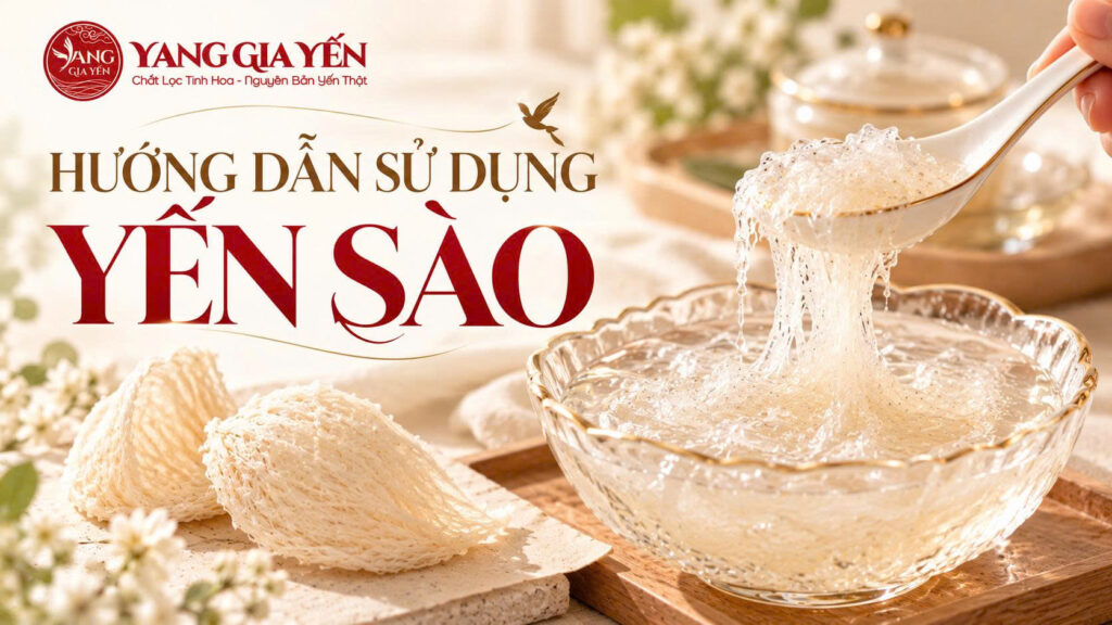 Hướng dẫn sử dụng yến sào
