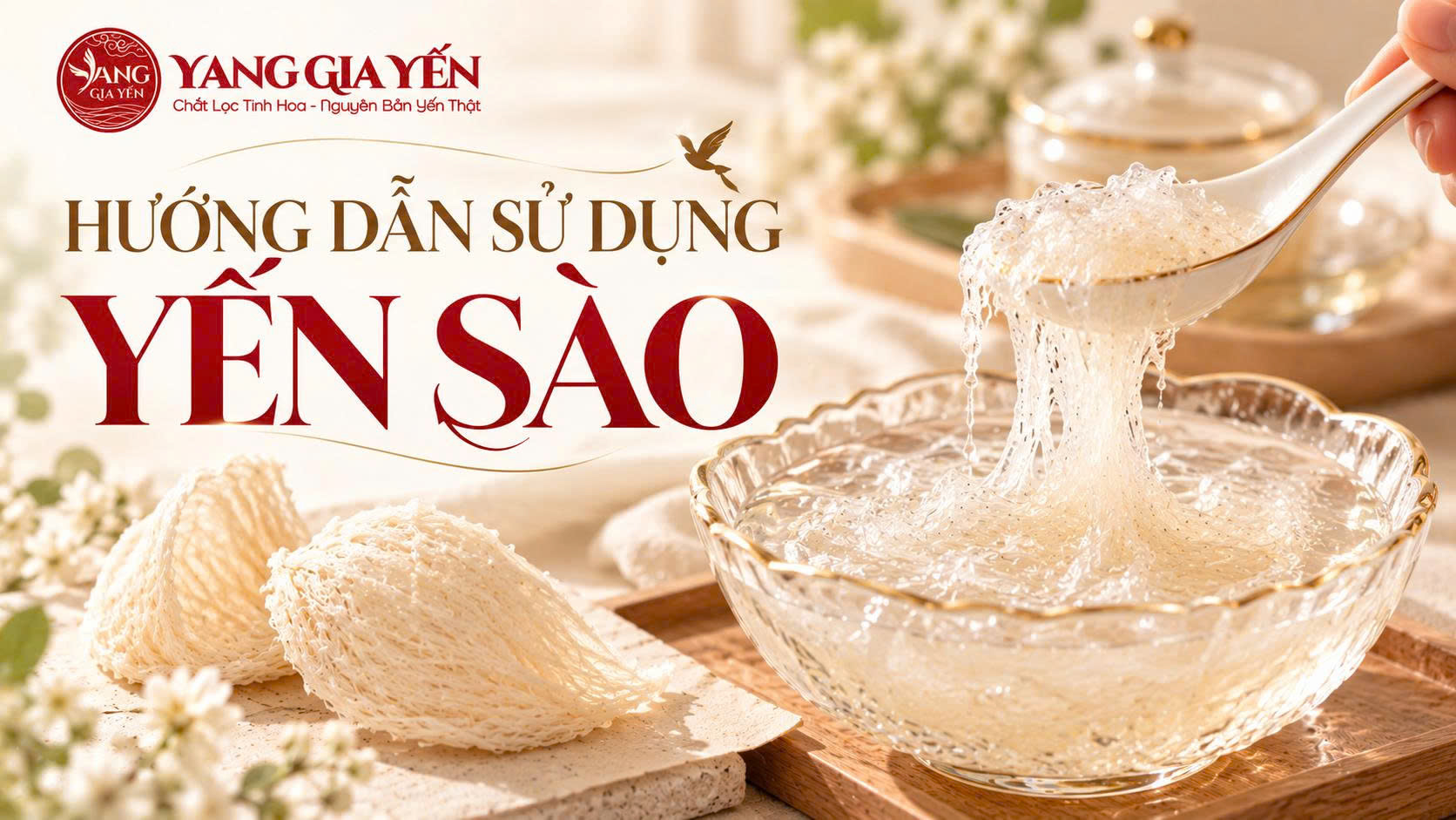 Hướng dẫn sử dụng yến sào Hướng dẫn sử dụng yến sào
