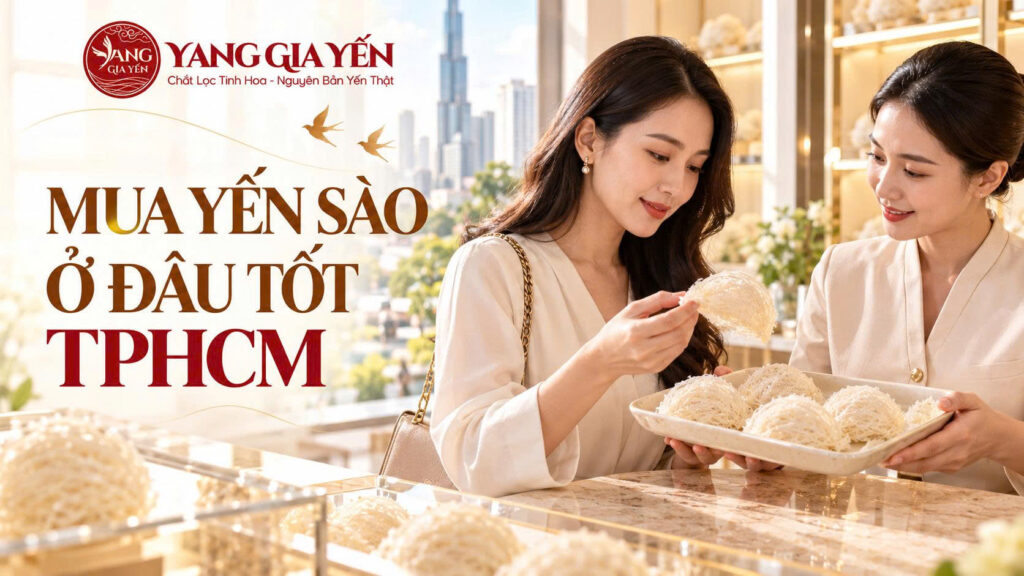 Mua yến sào ở đâu tốt tphcm