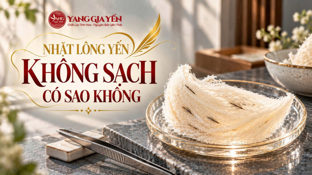 Nhặt lông yến không sạch có sao không