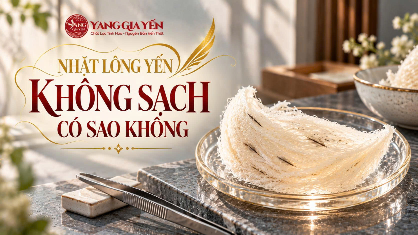 Nhặt lông yến không sạch có sao không