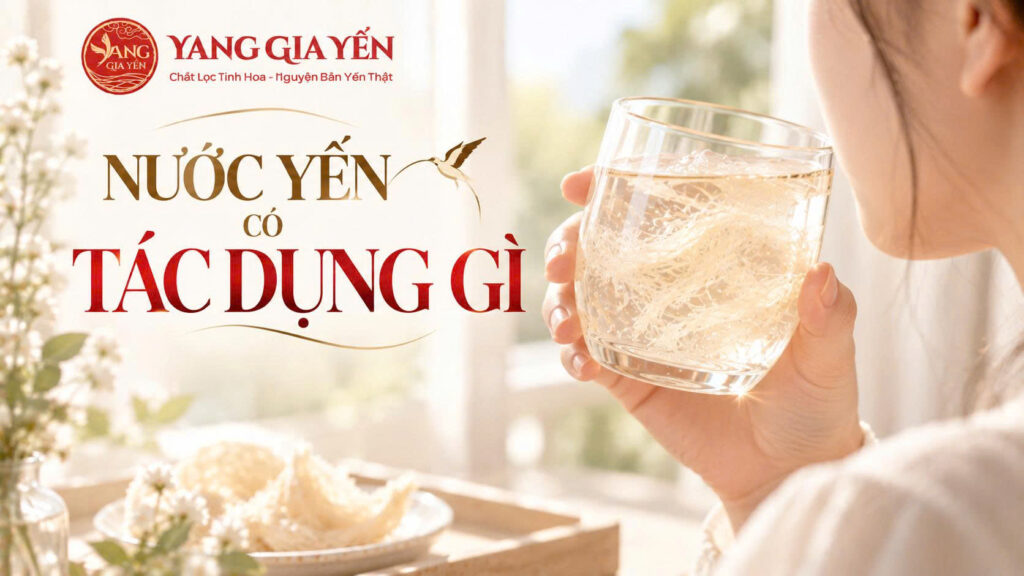 Nước yến có tác dụng gì