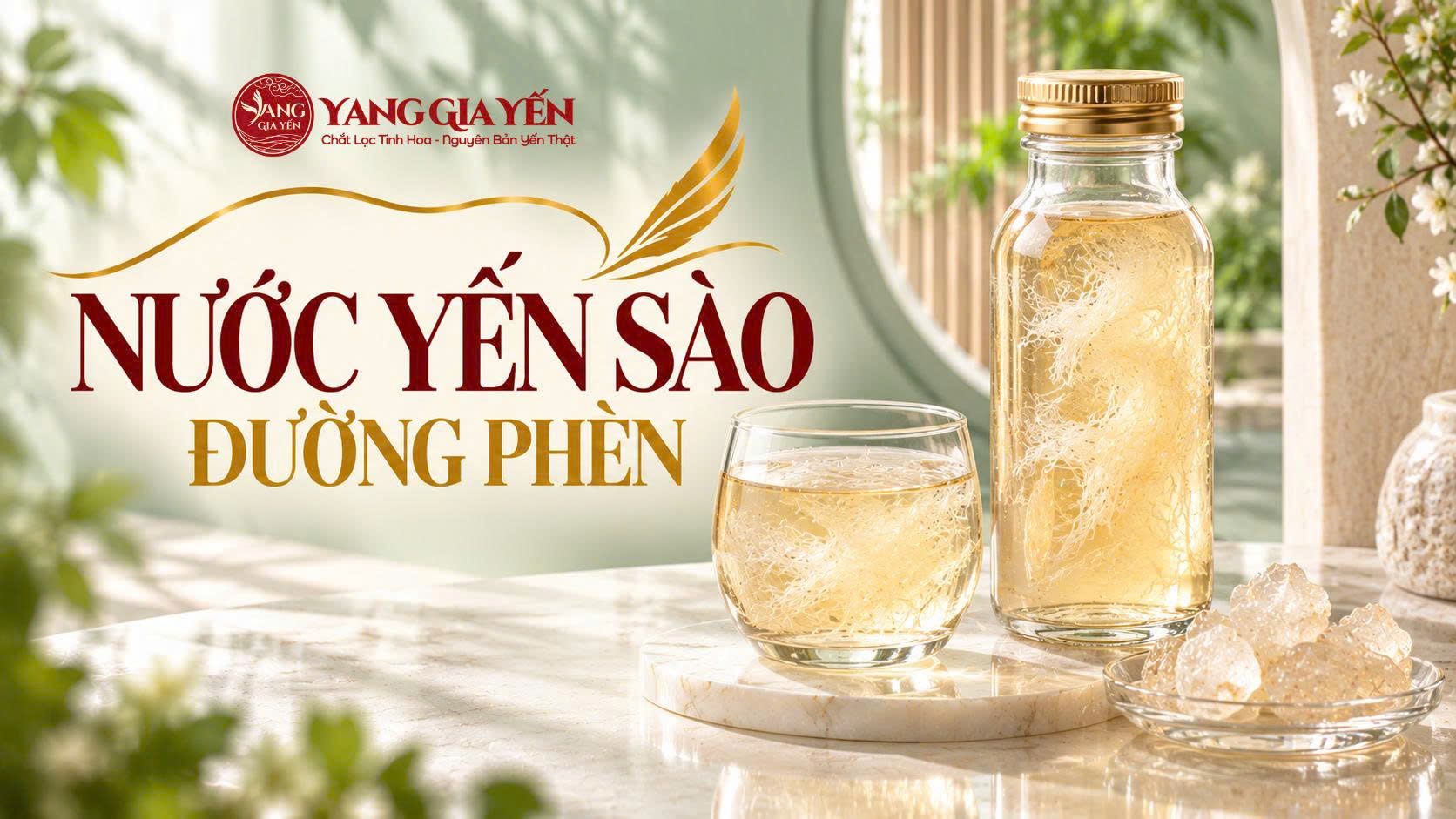 Nước yến sào đường phèn