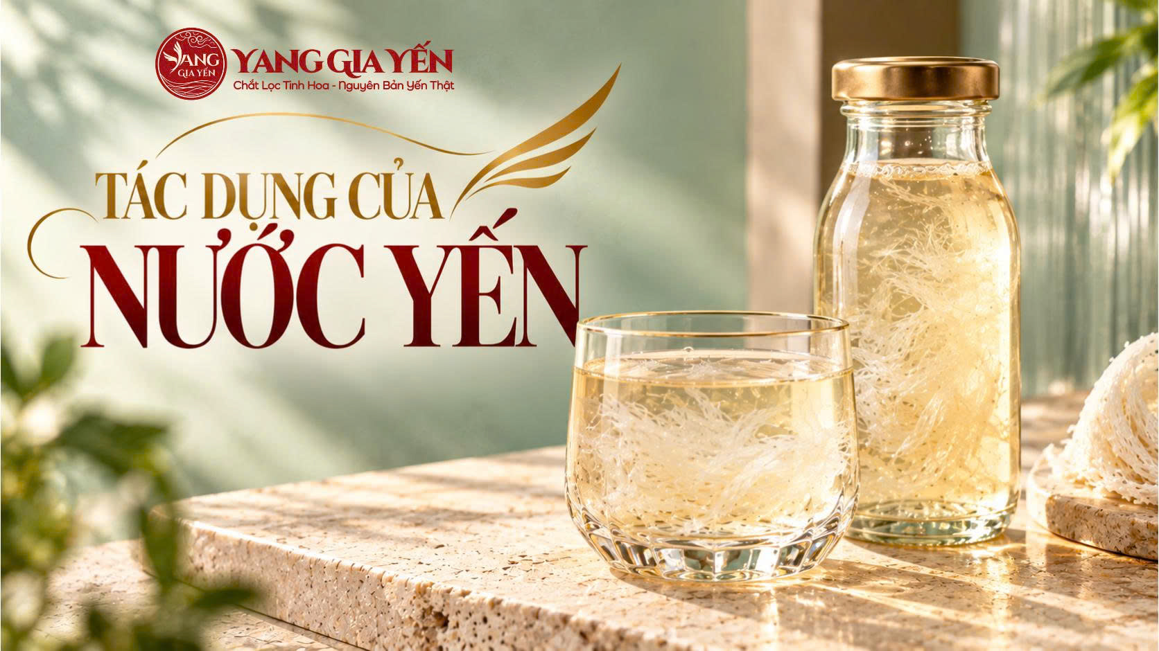 Tác dụng của nước yến