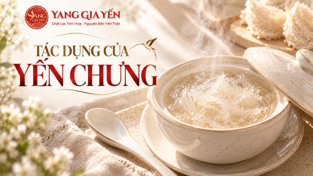 Tác dụng của yến chưng
