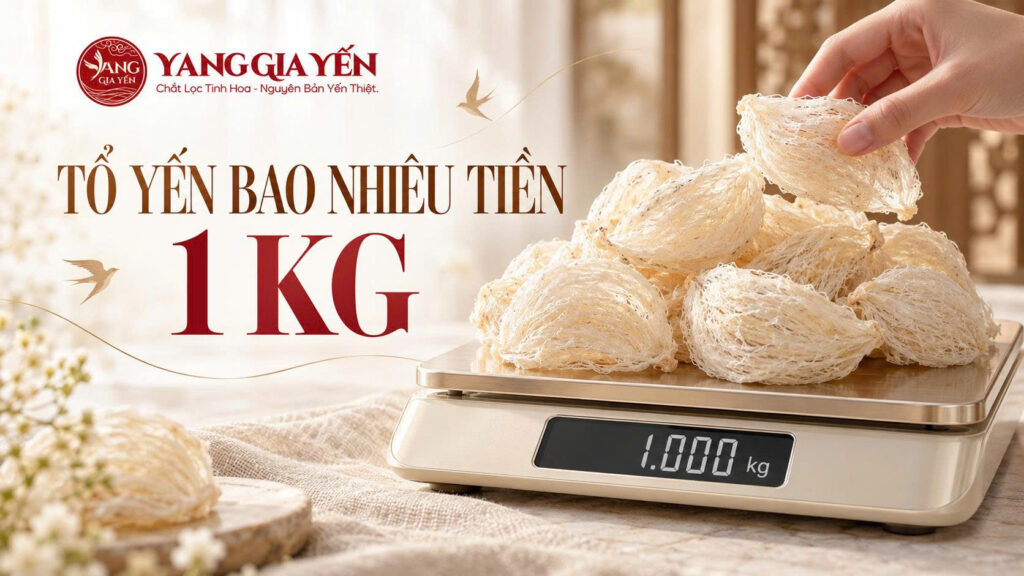 Tổ yến bao nhiêu tiền 1 kg