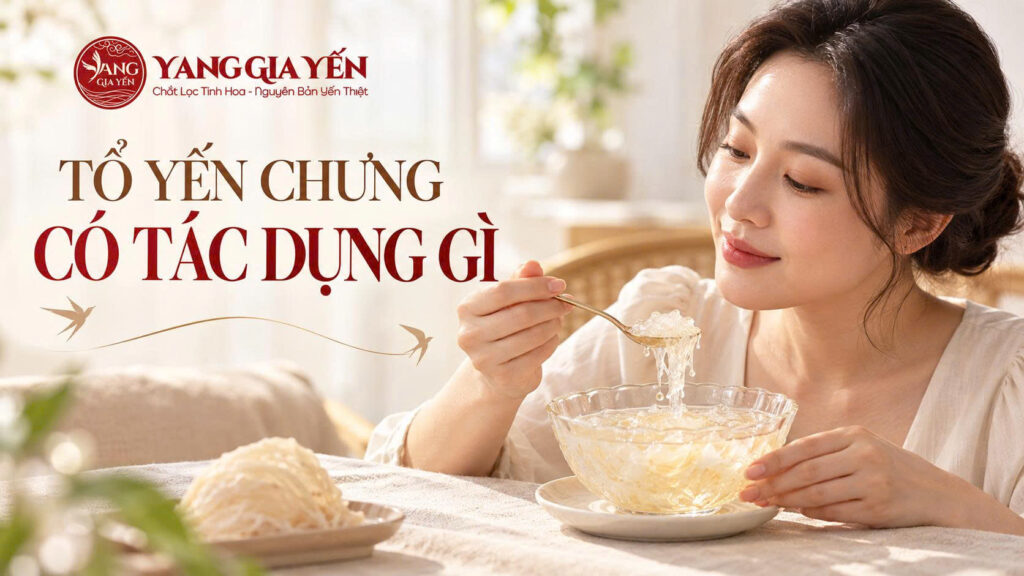 Tổ yến chưng có tác dụng gì