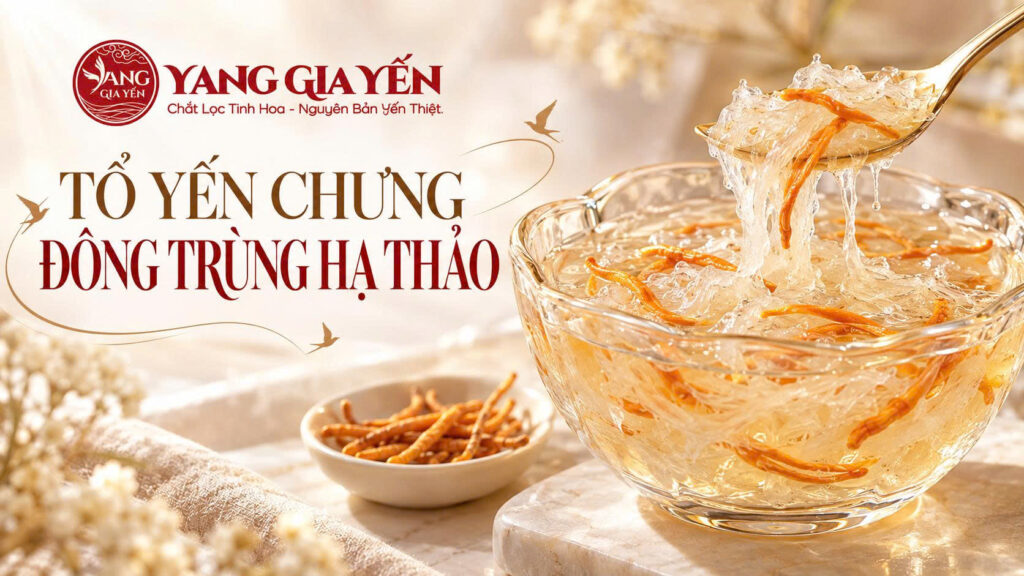 Tổ yến chưng đông trùng hạ thảo