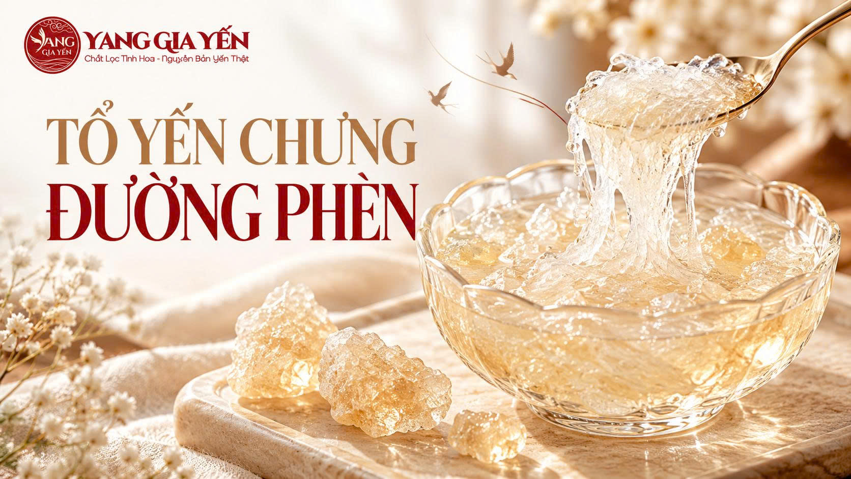 Tổ yến chưng đường phèn