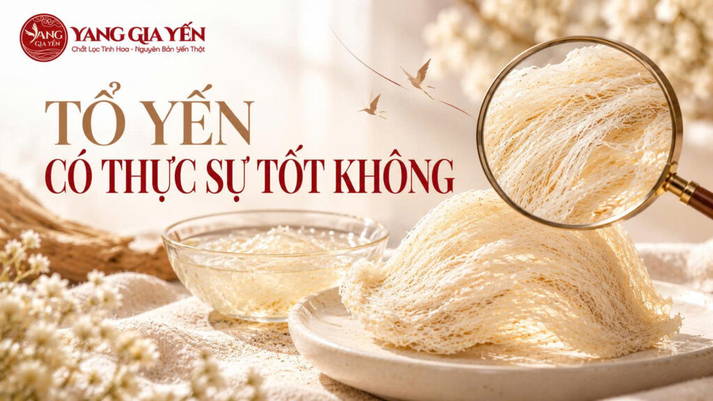 Tổ yến có thực sự tốt không