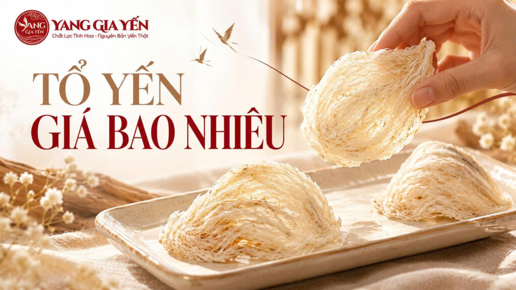 Tổ yến giá bao nhiêu