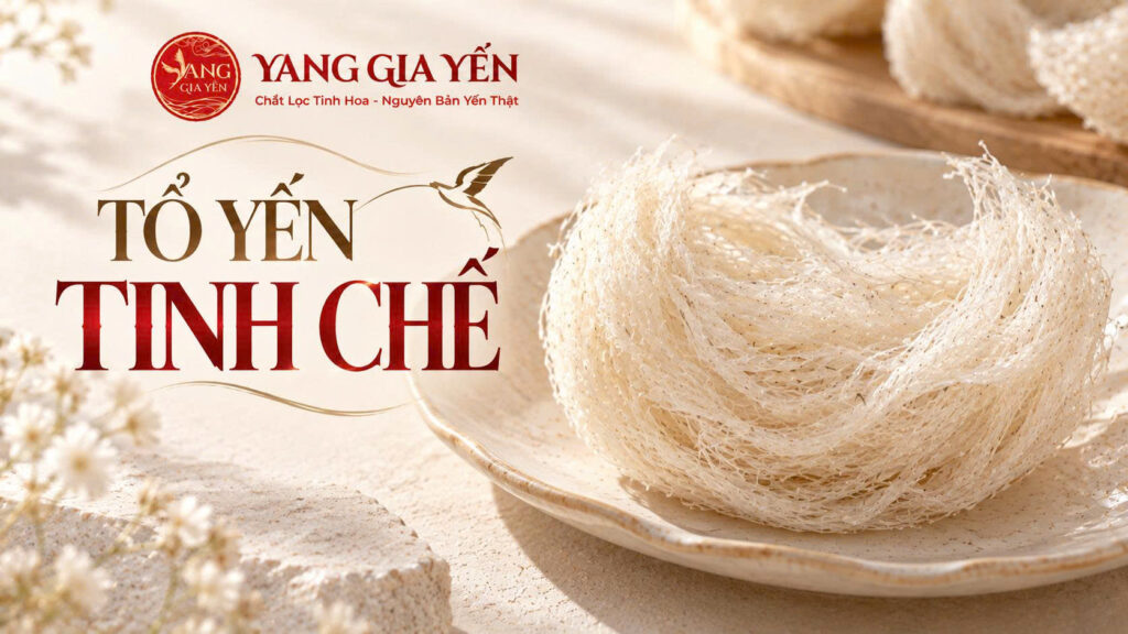 Tổ yến tinh chế