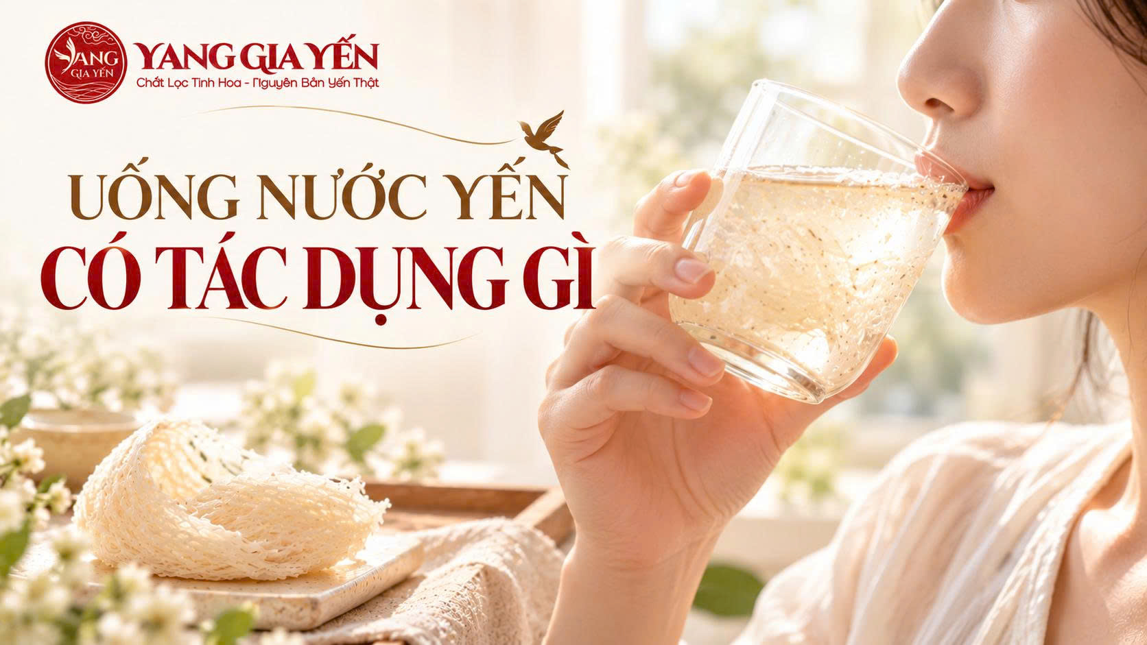 Uống nước yến có tác dụng gì Uống nước yến có tác dụng gì