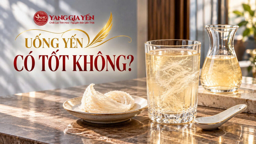 Uống yến có tốt không