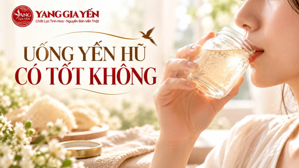 Uống yến hũ có tốt không