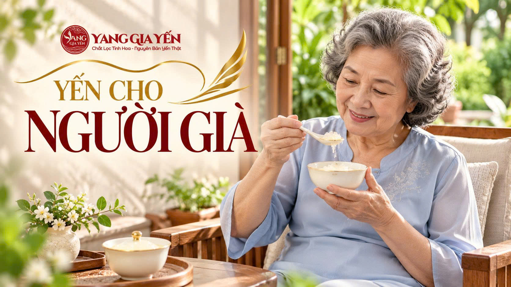 Yến cho người già