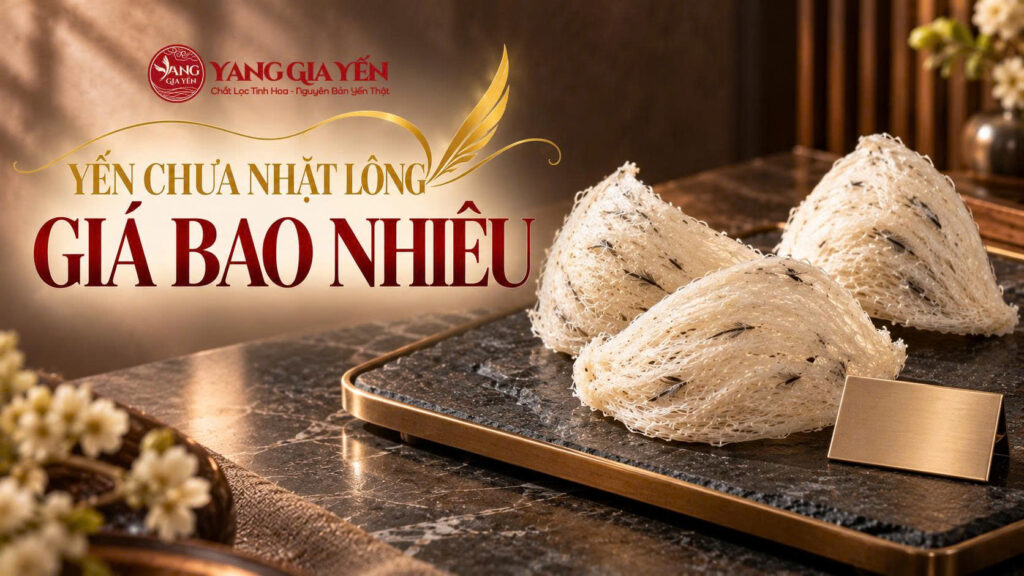 Yến chưa nhặt lông giá bao nhiêu