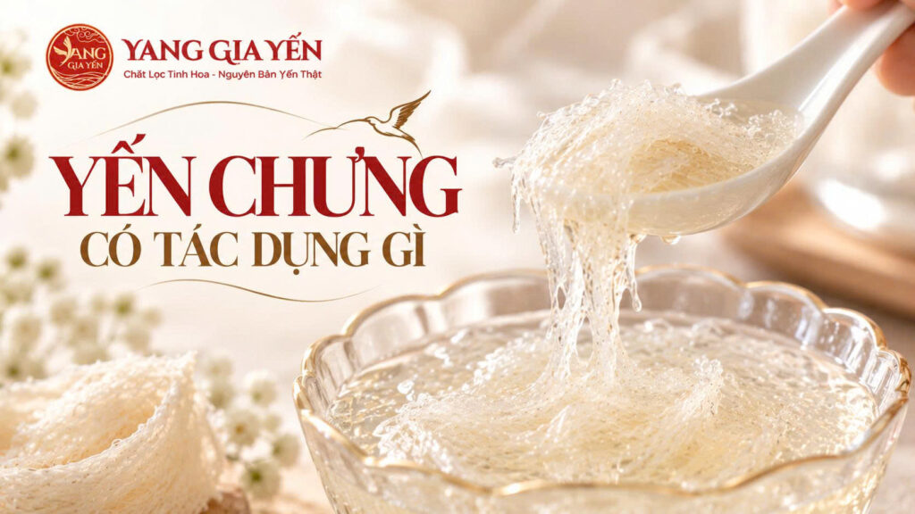 Yến chưng có tác dụng gì