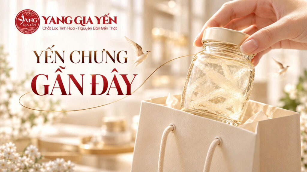 Yến chưng gần đây