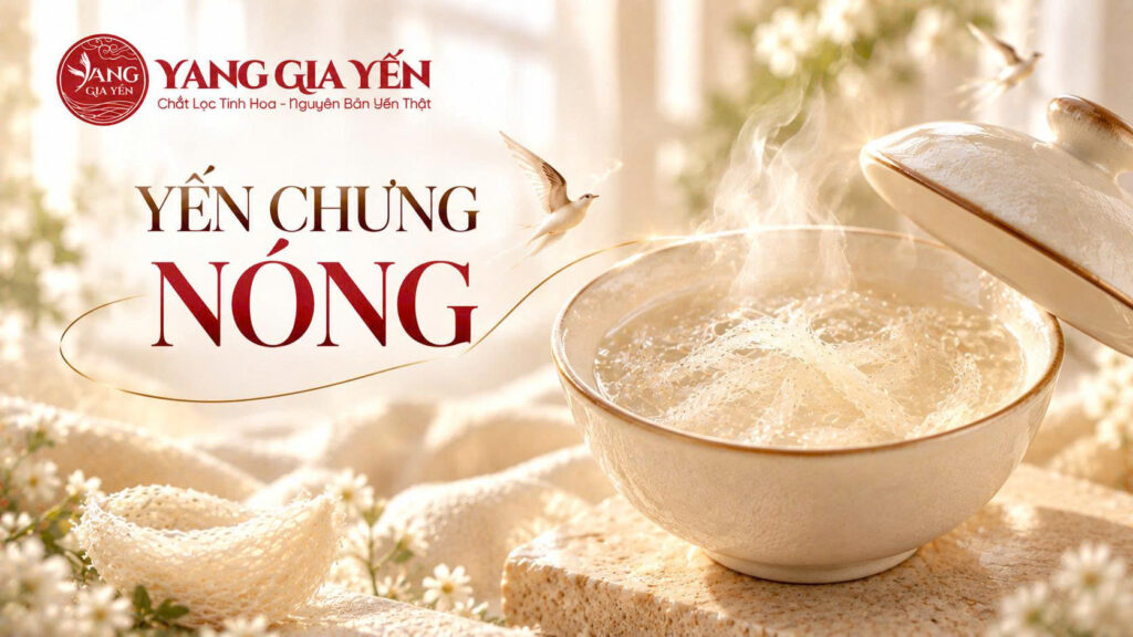 Yến chưng nóng