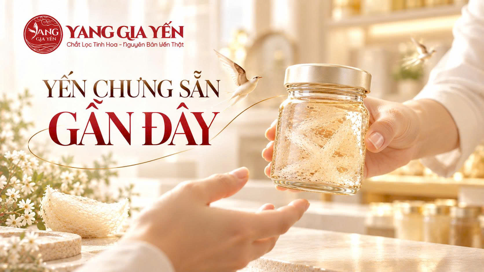 Yến chưng sẵn gần đây Yến chưng sẵn gần đây