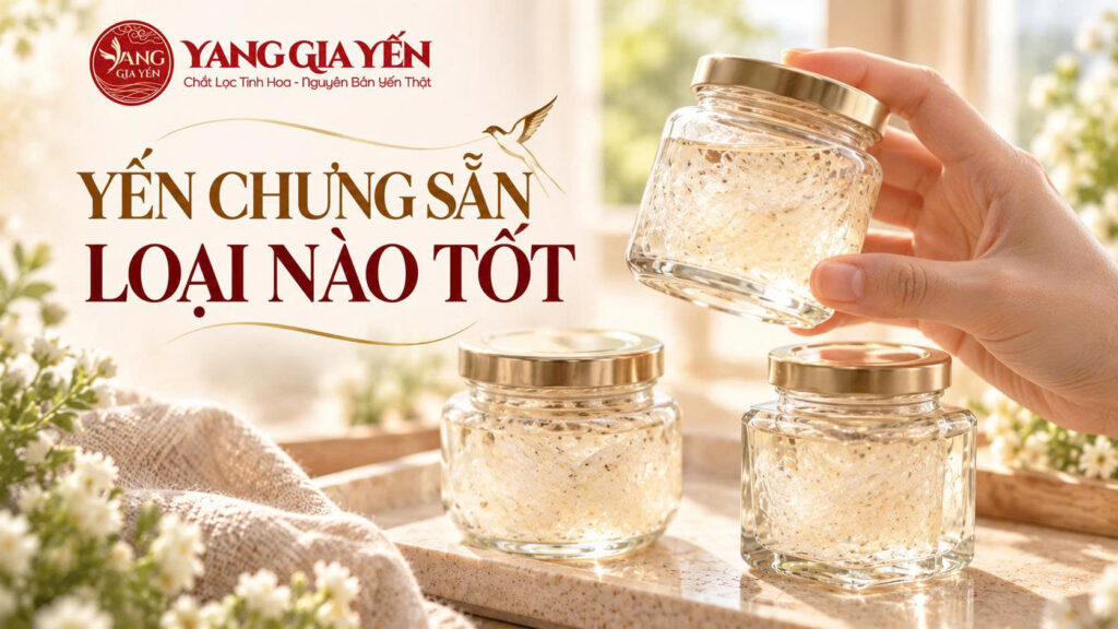 Yến chưng sẵn loại nào tốt