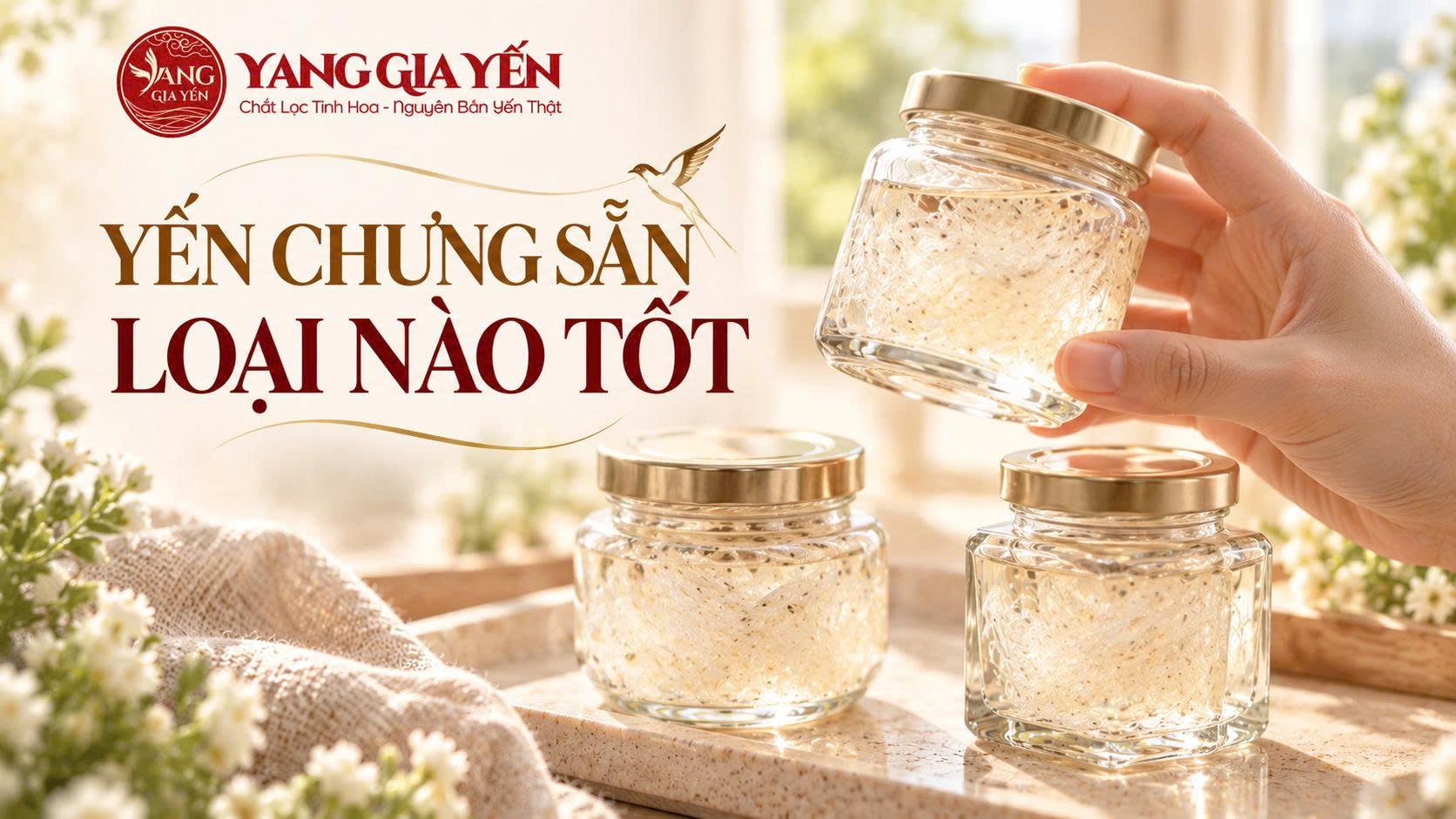 Yến chưng sẵn loại nào tốt