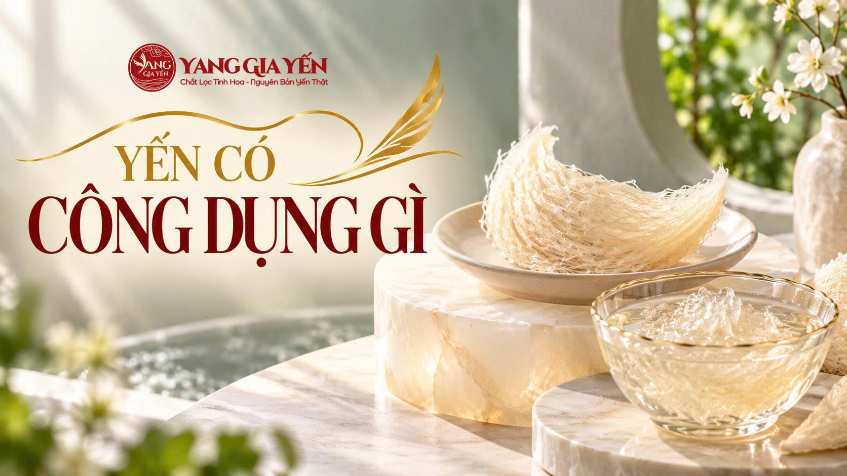 Yến có công dụng gì