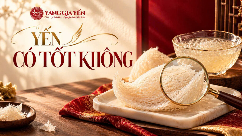 Yến có tốt không