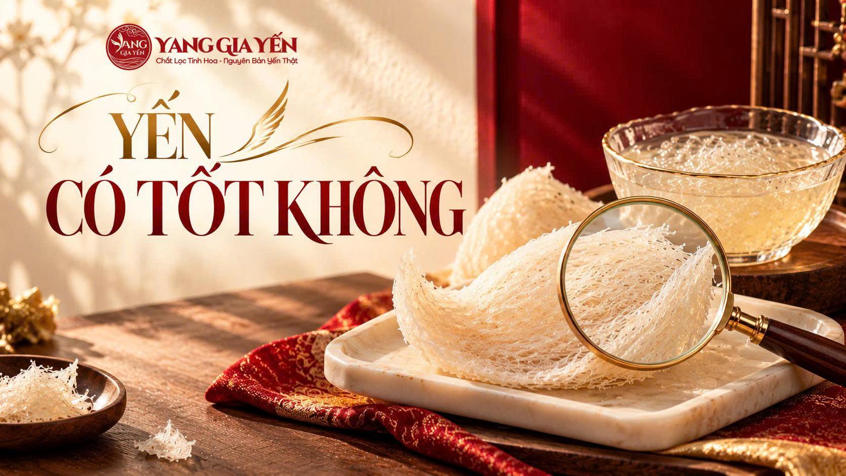 Yến có tốt không Yến có tốt không