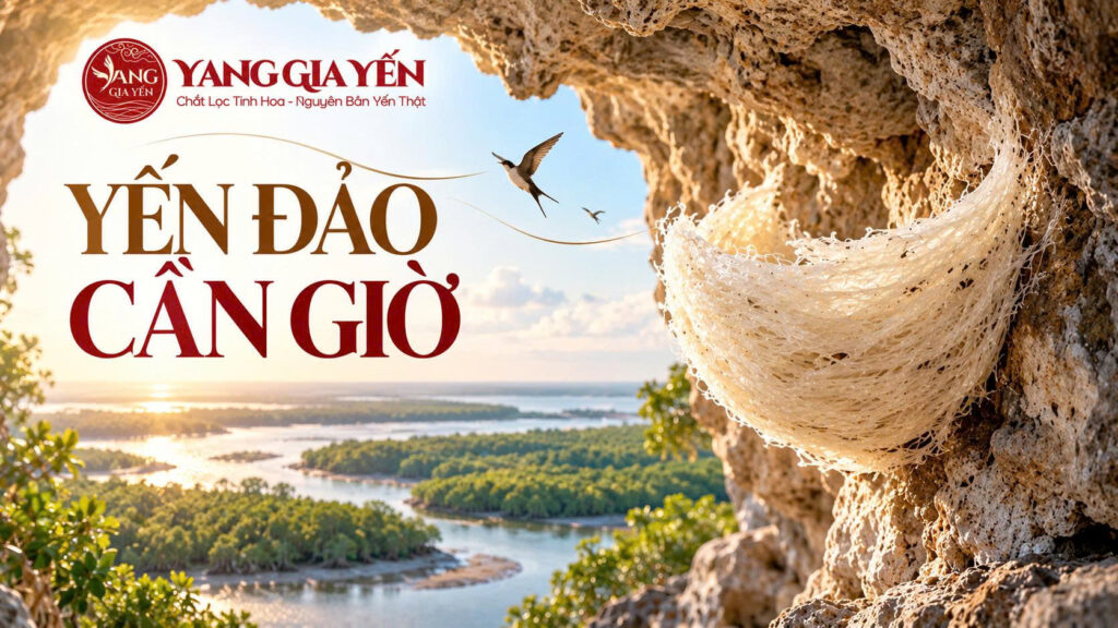 Yến đảo cần giờ