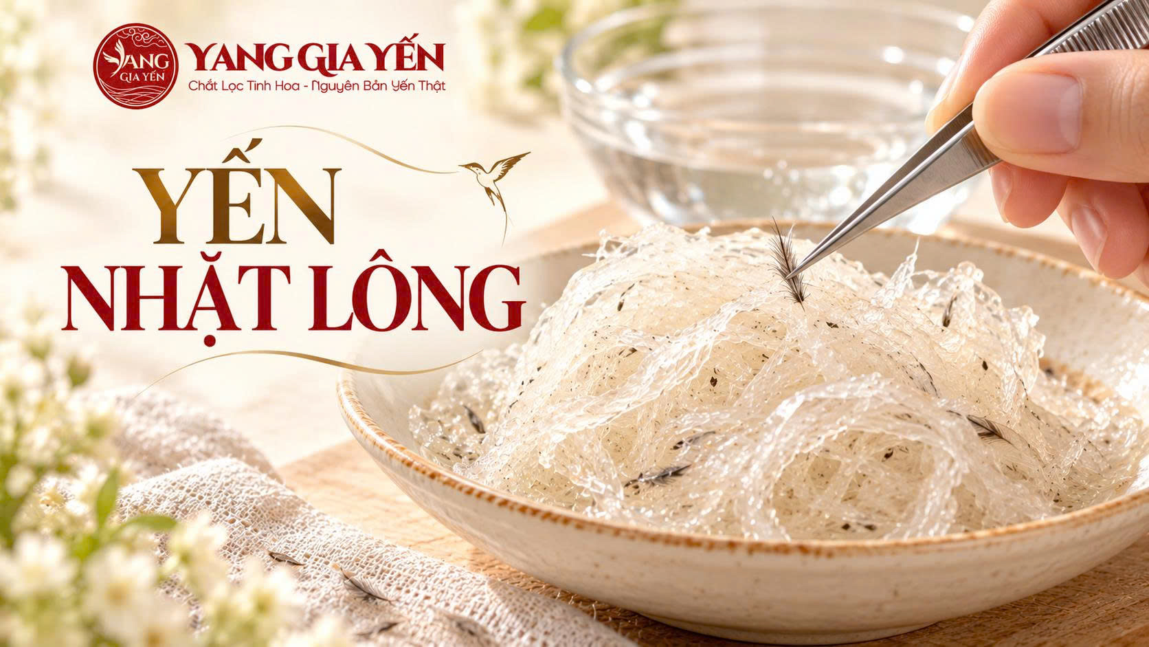 Yến nhặt lông Yến nhặt lông