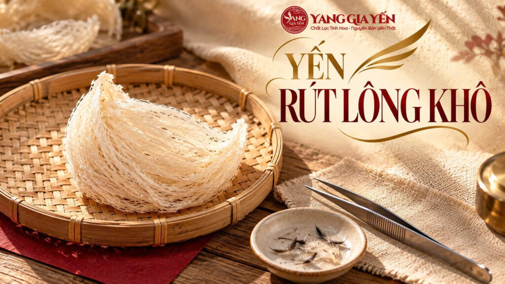 Yến rút lông khô