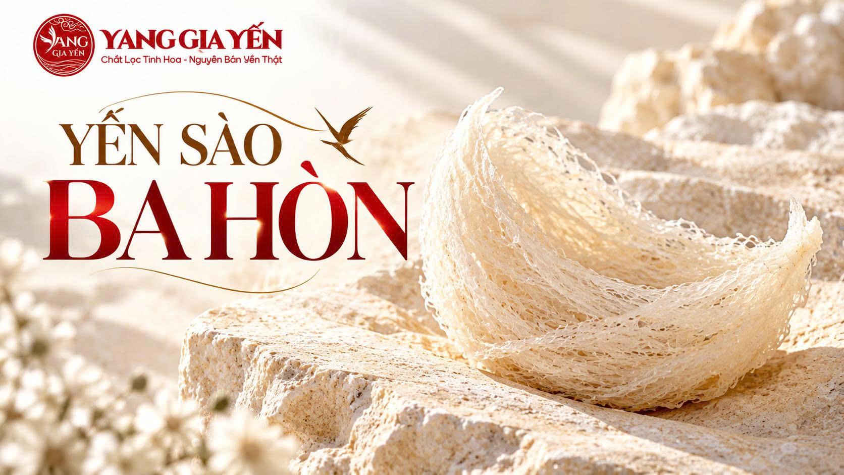 Yến sào ba hòn Yến sào ba hòn