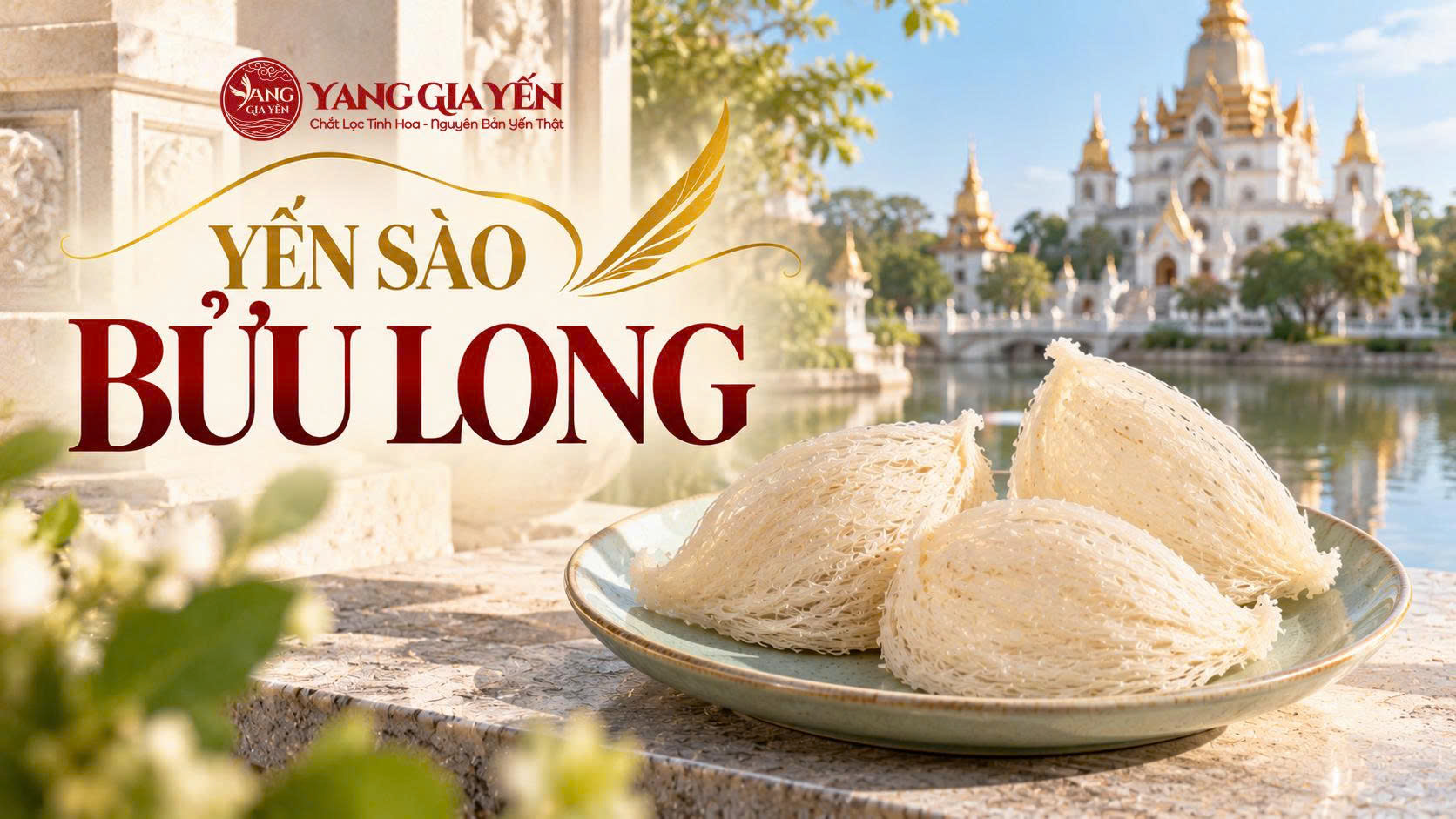 Yến sào bửu long