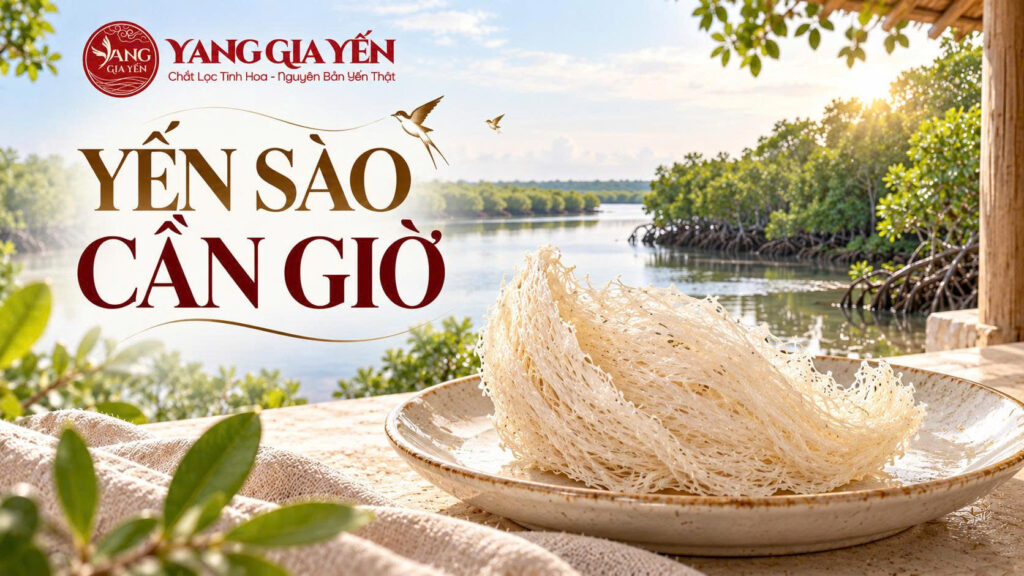 Yến sào cần giờ