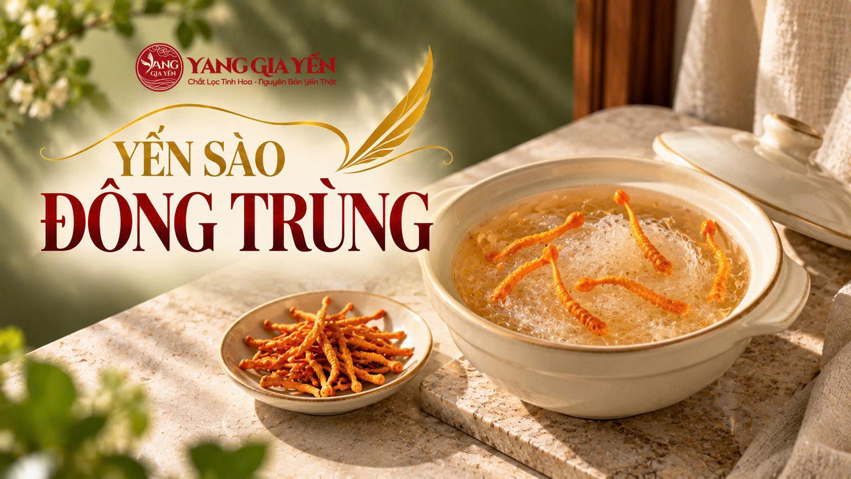 Yến sào đông trùng