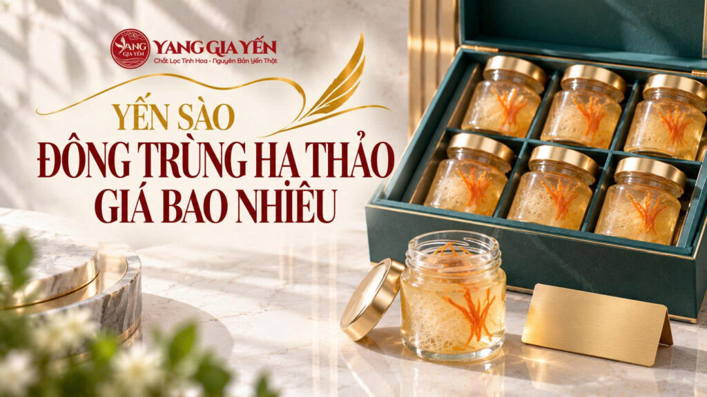 Yến sào đông trùng hạ thảo giá bao nhiêu