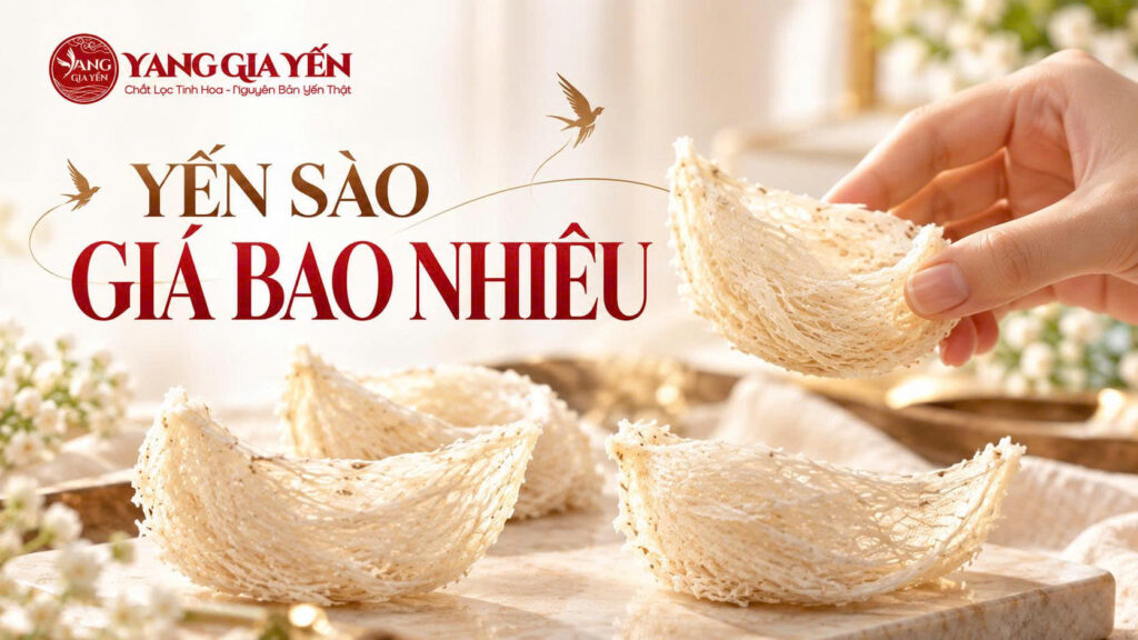 Yến sào giá bao nhiêu